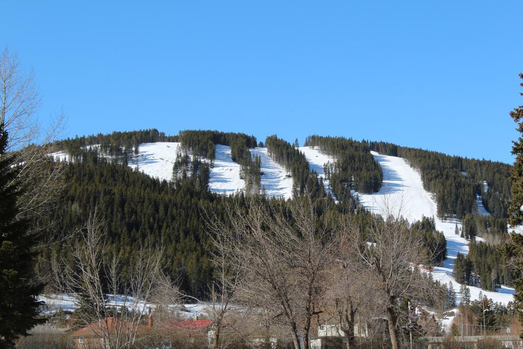 The Cosmopolitan Hotel Blairmore Exterior photo